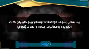 يلا تعالى شوف مواصفات وسعر رينو كارديان 2025 الجديدة بإمكانيات جبارة وأداء لا يُقاوم!